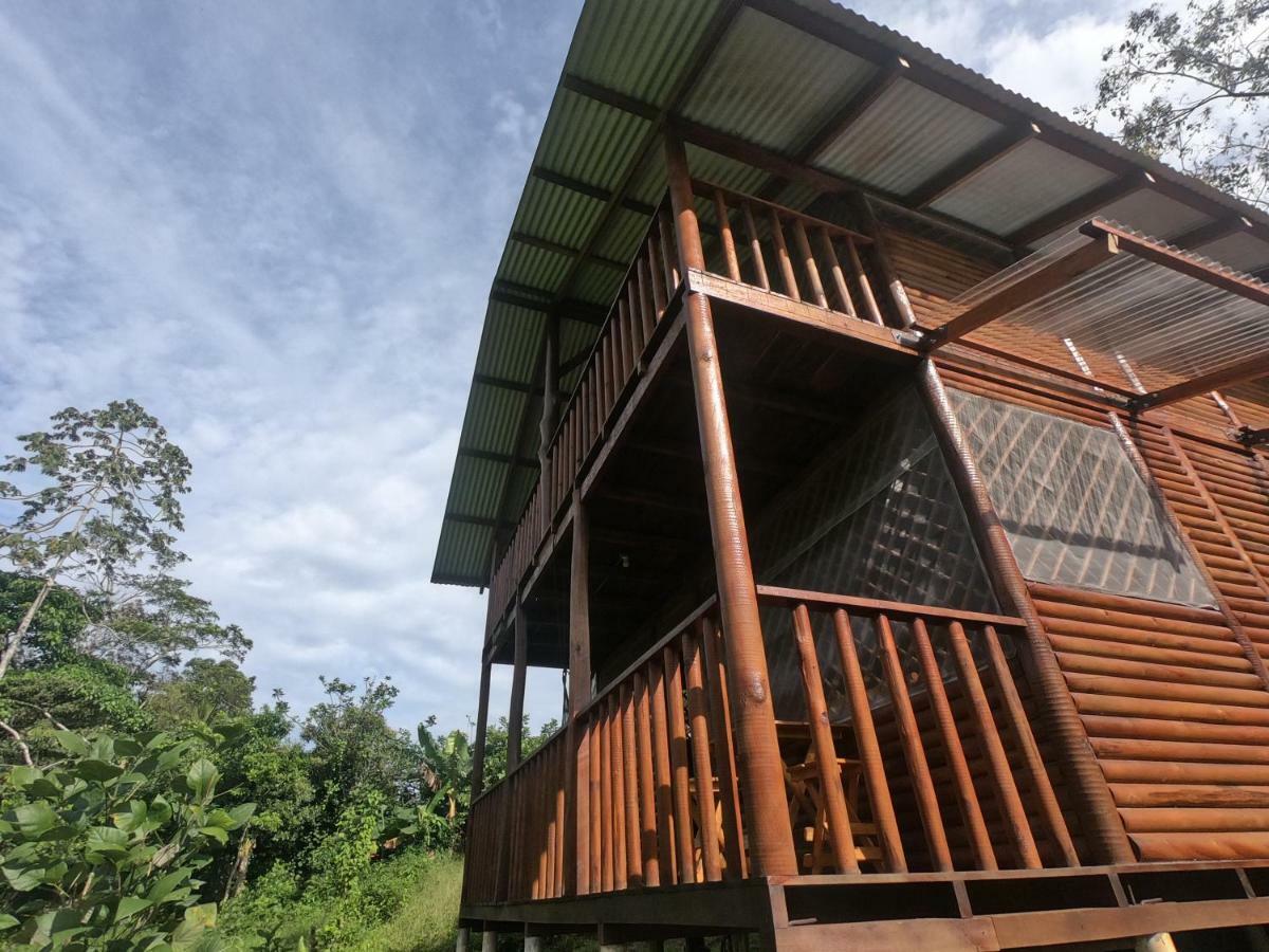 Eco Guest House - Sarapiqui 1 Экстерьер фото
